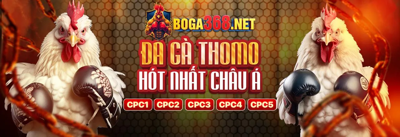 Sàn đá gà online 18win1